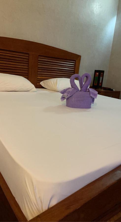 Senebreizh Hotel Somone Bagian luar foto